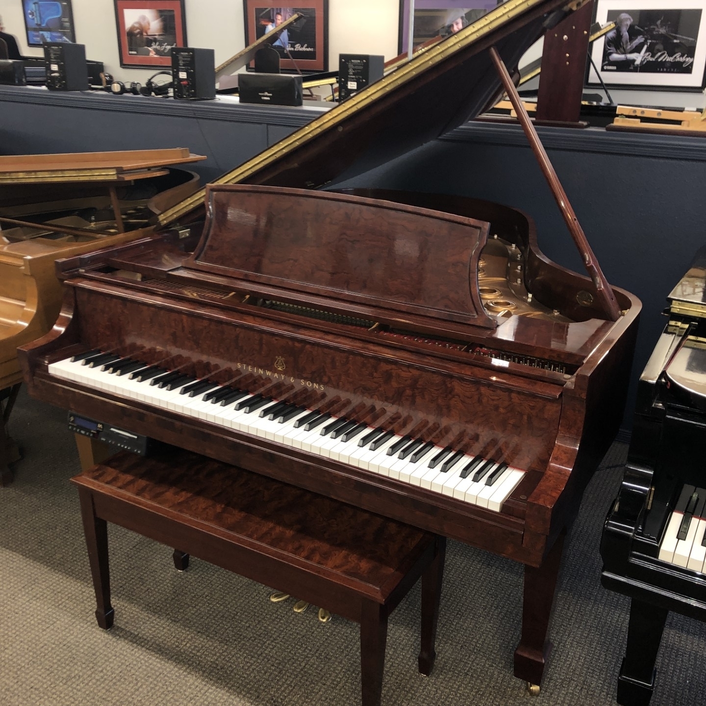 Image forSteinway & Sons “L” – Crown Jewel Collection