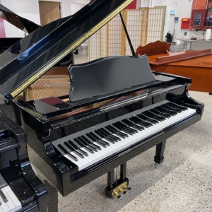 Image forSamick SIG-48 Petite Baby Grand