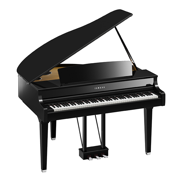 CLP-895GP-PE_a_600x600.jpg