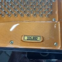 Schimmel SP189 Handcrafted German Conservatory Grand