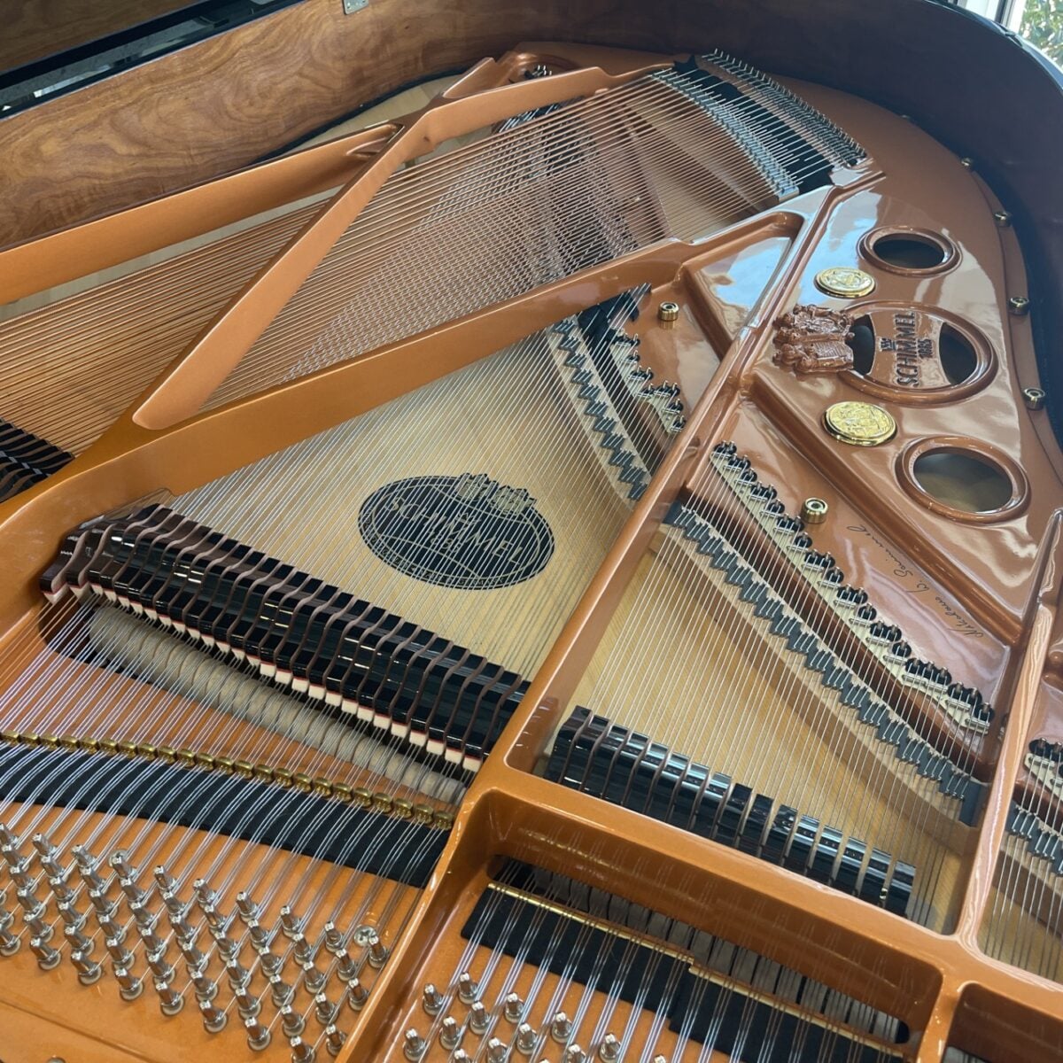 Schimmel SP189 Handcrafted German Conservatory Grand
