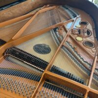 Schimmel SP189 Handcrafted German Conservatory Grand
