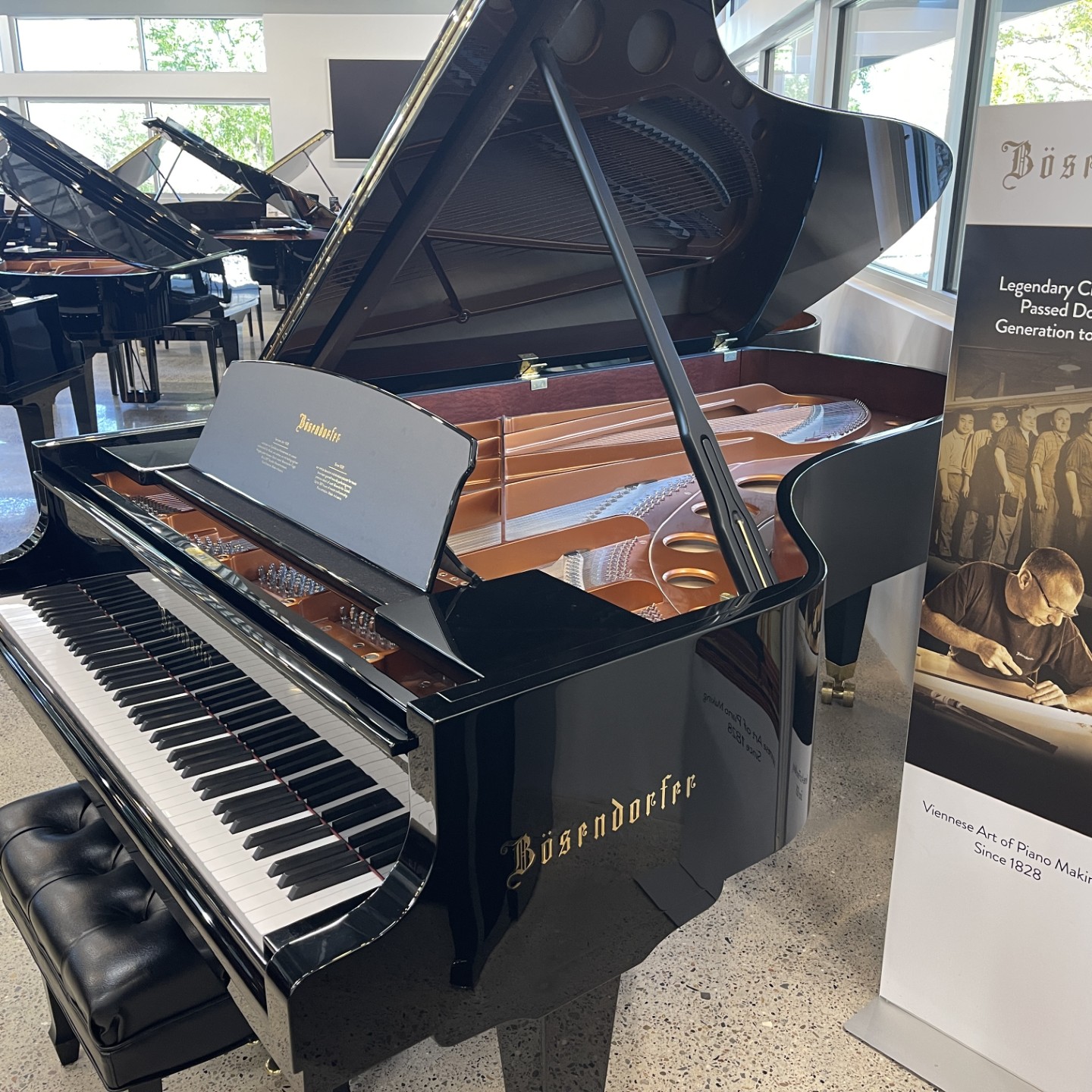 Bösendorfer 230VC Handcrafted Semi-Concert Grand Piano