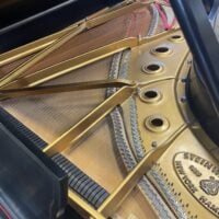 Steinway & Sons “B” American Artist Grand