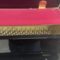 Yamaha b1 Modern Continental Console