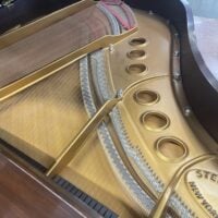 Steinway & Sons “M” Mahogany Music Room Grand