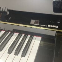 Yamaha-Cable Nelson CN116 Studio