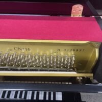 Yamaha-Cable Nelson CN116 Studio