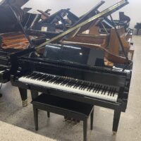 Black Yamaha grand piano showcased in a showroom with several other pianos.