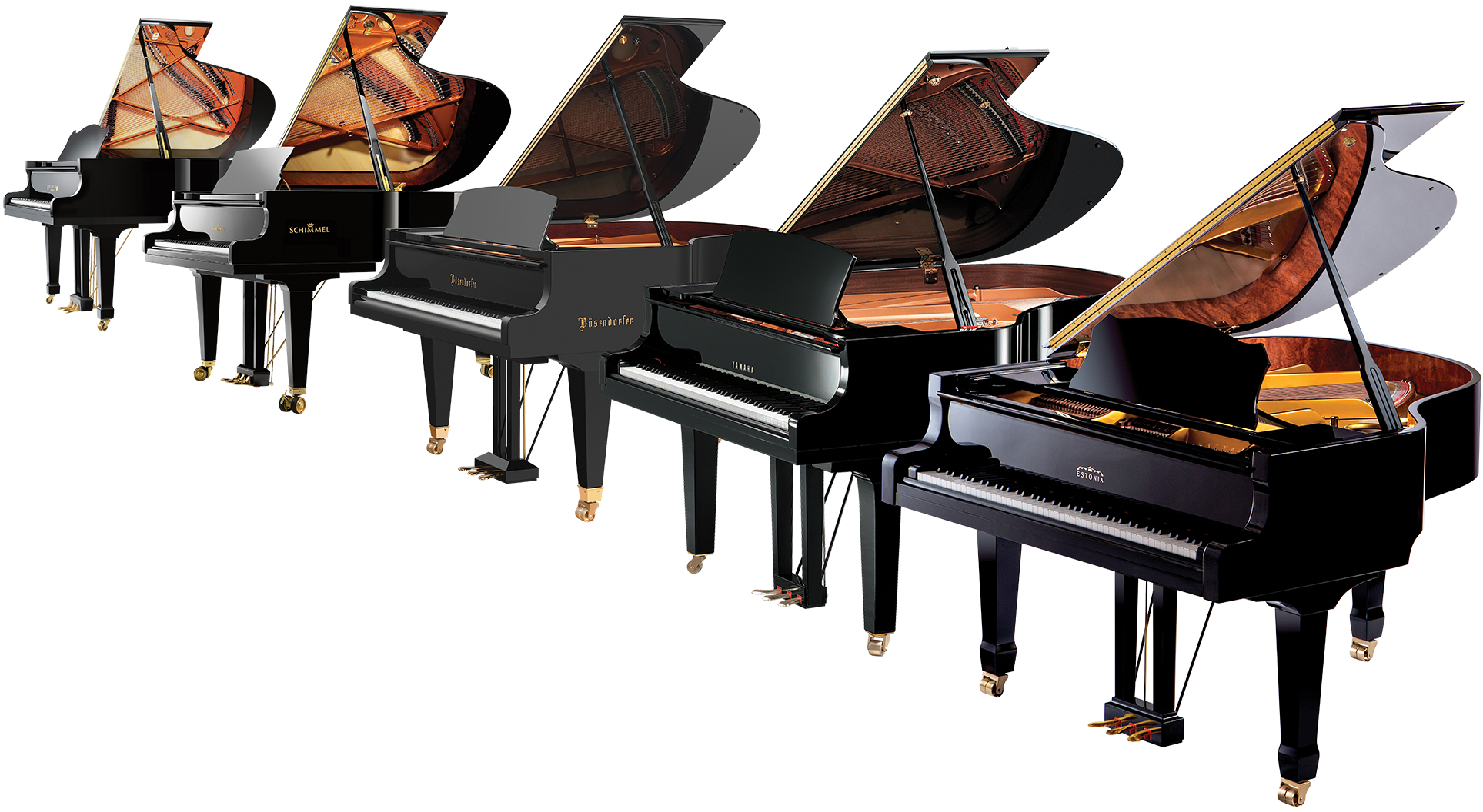 Row of black grand pianos with open lids, showcasing different manufacturers and elegant designs.