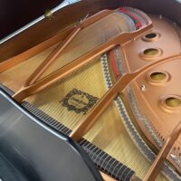 Yamaha GC1M Classic Satin Ebony Baby Grand