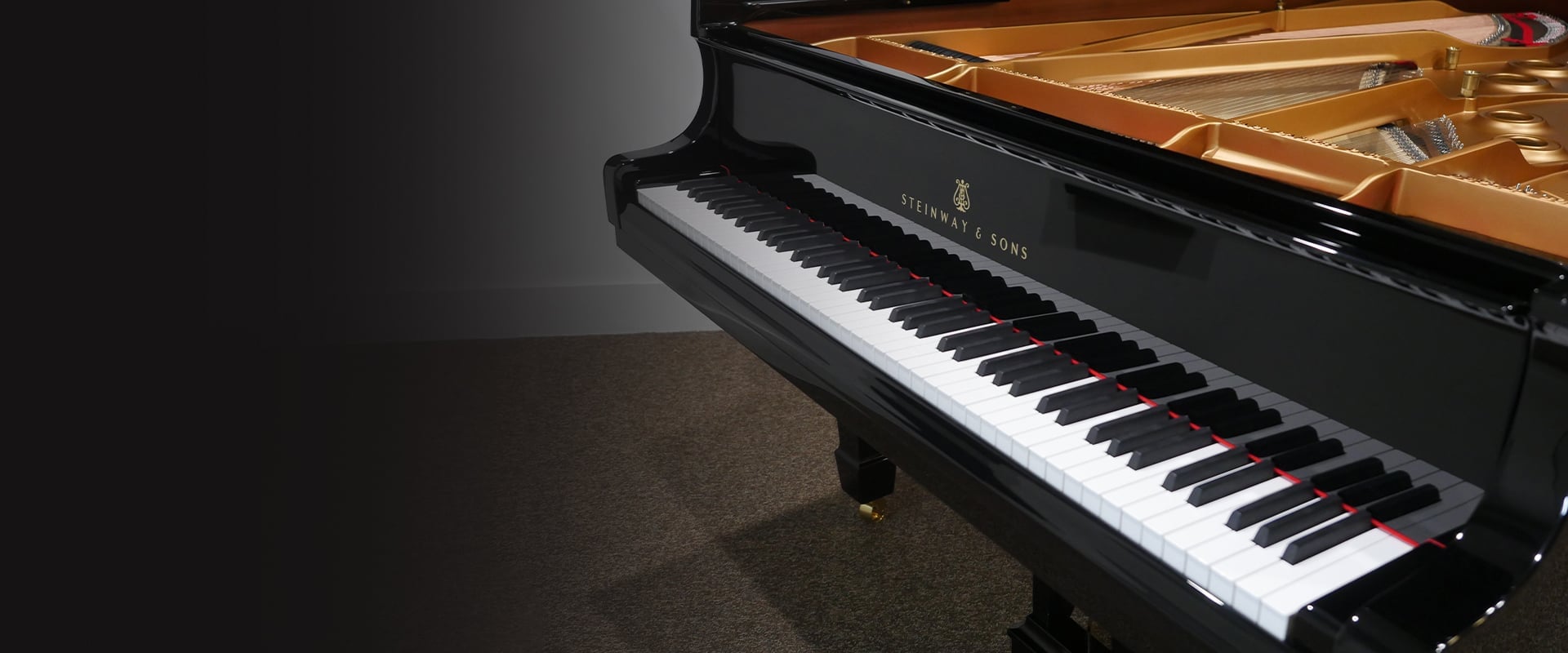 Close-up of a Steinway & Sons grand piano keyboard, showcasing its elegant black and white keys.