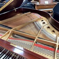 Boston by Steinway GP163 Performance Baby Grand #2