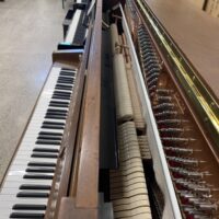 Perzina GP129 Designer Full Upright