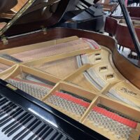 Boston by Steinway GP163 Performance Baby Grand #1
