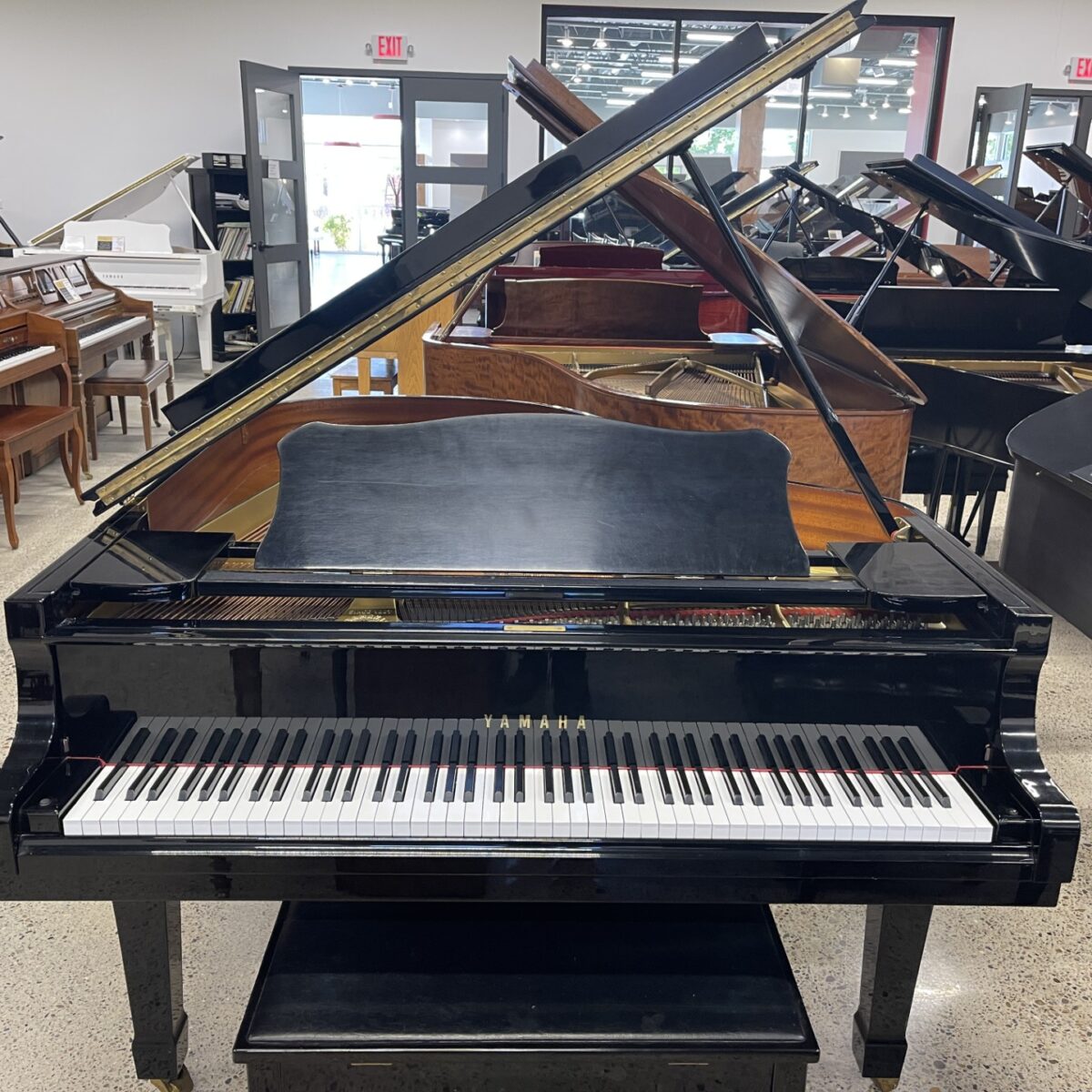 Yamaha C3 Professional Conservatory Grand