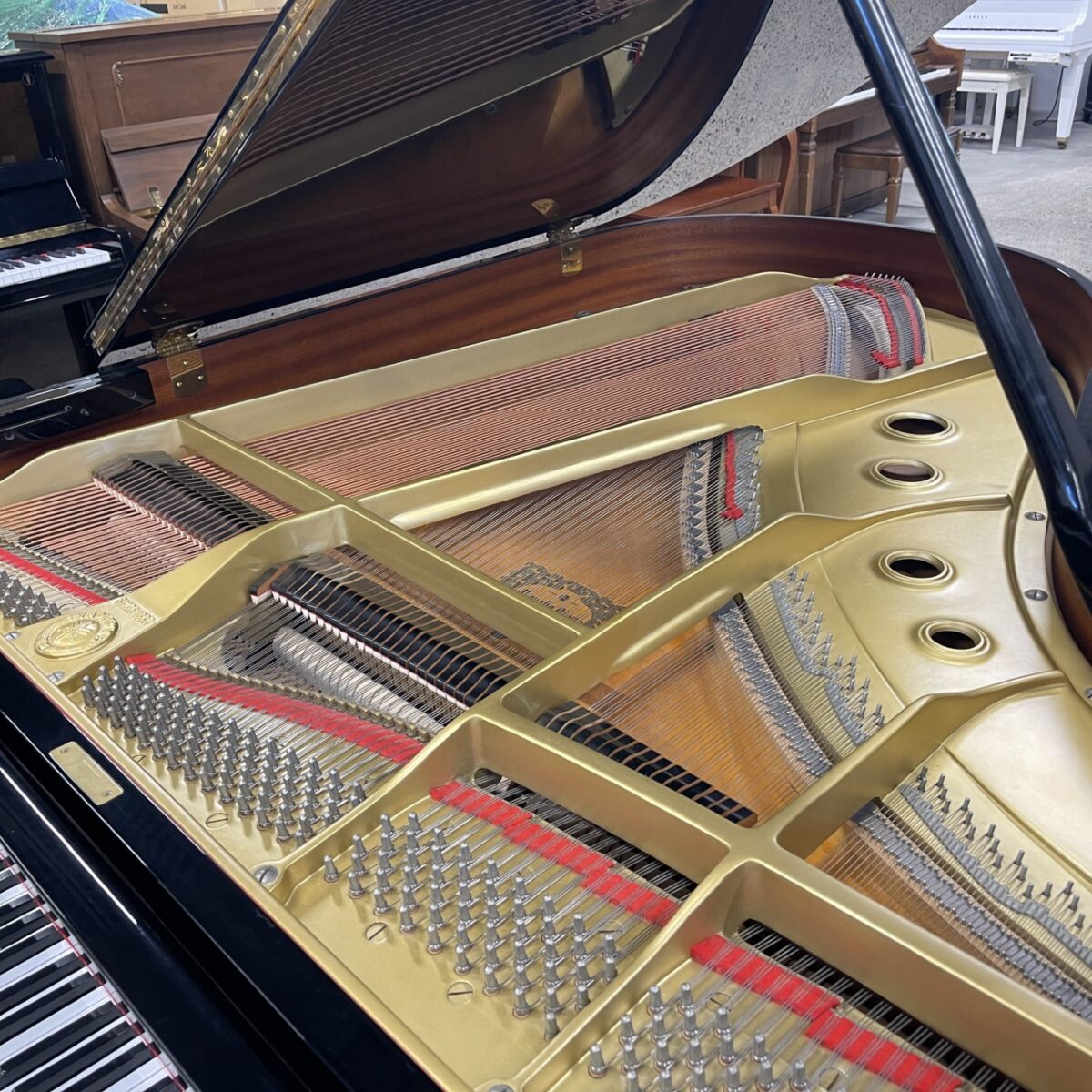 Yamaha C3 Professional Conservatory Grand