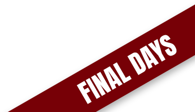 FINAL DAYS sale banner for premium pianos at Piano Werkes, featuring exclusive discounts on top brands and models.