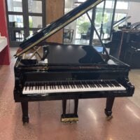 Steinway & Sons Fully Restored Vintage “B” Professional Artist Grand