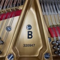 Steinway & Sons Fully Restored Vintage “B” Professional Artist Grand