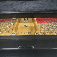 Steinway & Sons Fully Restored Vintage “M” Professional Grand