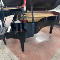 Steinway & Sons Fully Restored Vintage “L” Professional Grand