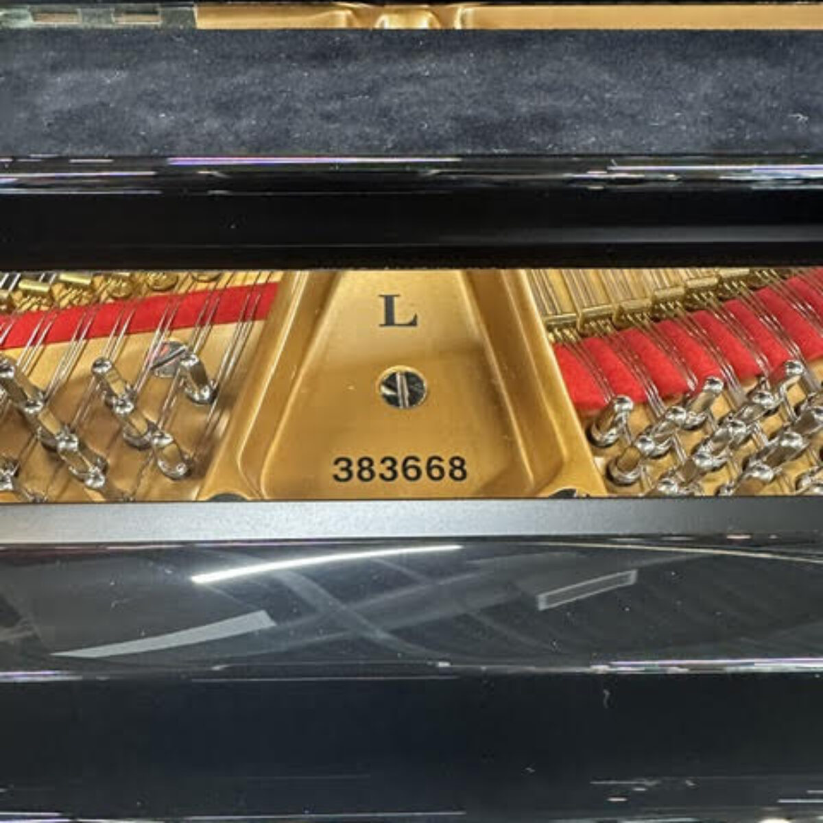 Steinway & Sons Fully Restored Vintage “L” Professional Grand