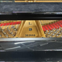 Steinway & Sons Fully Restored Vintage “L” Professional Grand