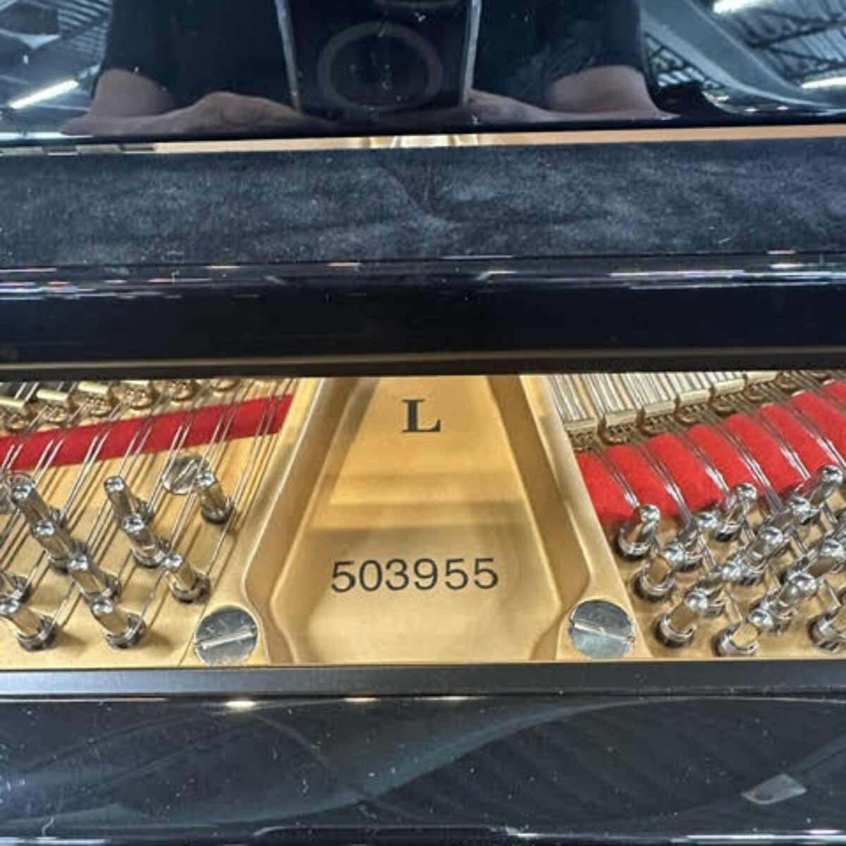 Steinway & Sons Fully Restored Vintage “L” Professional Grand