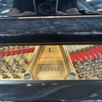 Steinway & Sons Fully Restored Vintage “L” Professional Grand