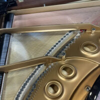 Steinway & Sons Fully Restored Vintage “L” Professional Grand