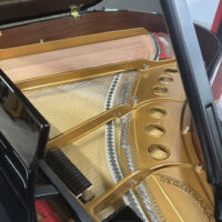 Steinway & Sons Fully Restored Vintage “M” Professional Grand