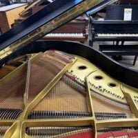 Baldwin M Baby Grand