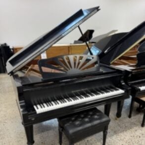Image for Johannes Seiler GS-160LNG Baby Grand