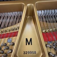 Steinway & Sons Fully Restored Vintage “M” Professional Grand