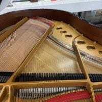 Steinway & Sons Fully Restored Vintage “M” Professional Grand
