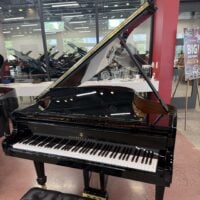 Steinway & Sons Fully Restored Vintage “L” Professional Grand