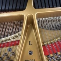 Steinway & Sons Fully Restored Vintage “L” Professional Grand