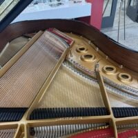 Steinway & Sons Fully Restored Vintage “L” Professional Grand