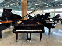 PianoWerkes piano showroom in Albuquerque, New Mexico